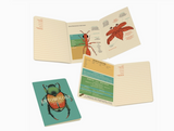 Mini Notebooks - Entomology