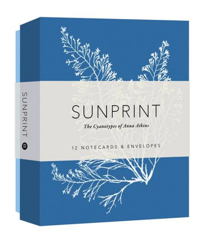 Sunprint Notecards