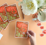 Red Poppies Thinking of You Friendship Card