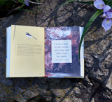 A Little Book of Japanese Contentments