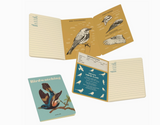 Mini Notebooks - Birdwatching