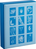 Sunprint Notecards
