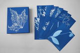 Sunprint Notecards