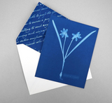 Sunprint Notecards