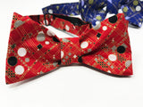Coonley Bow Tie