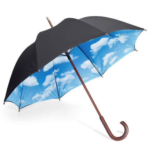 Sky Umbrella